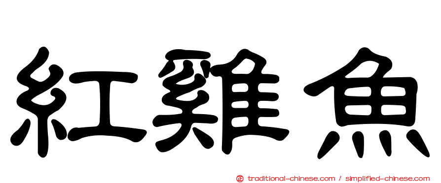 紅雞魚