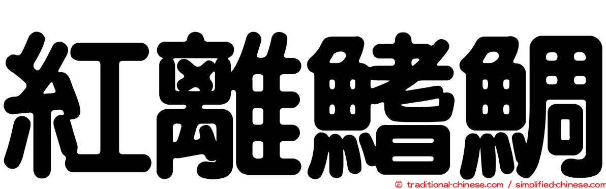 紅離鰭鯛