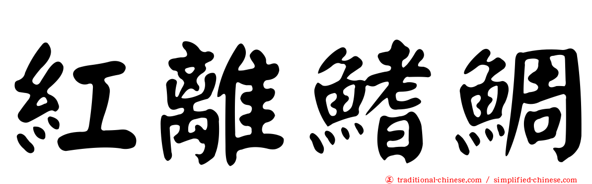紅離鰭鯛