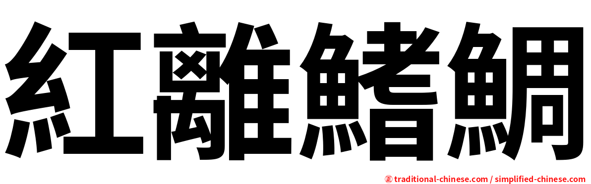 紅離鰭鯛