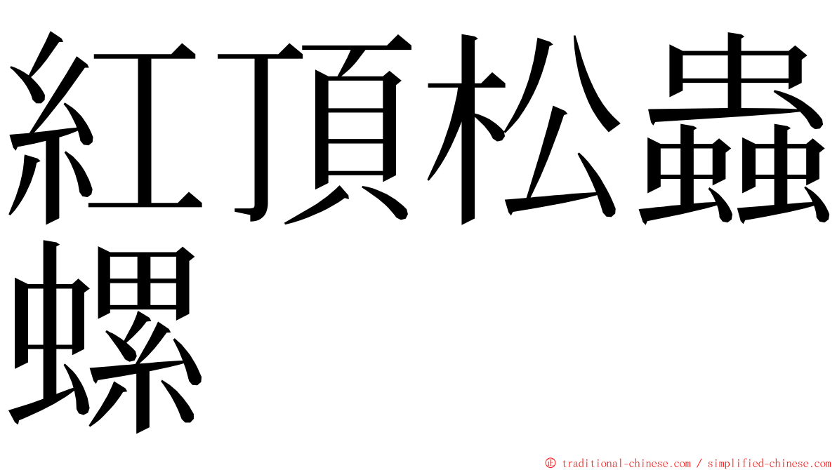 紅頂松蟲螺 ming font