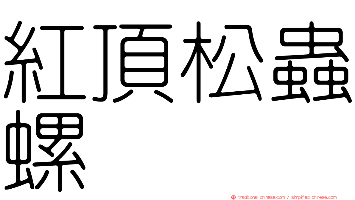 紅頂松蟲螺