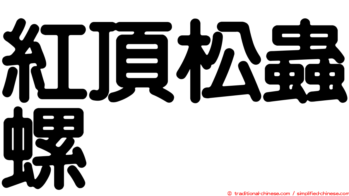 紅頂松蟲螺