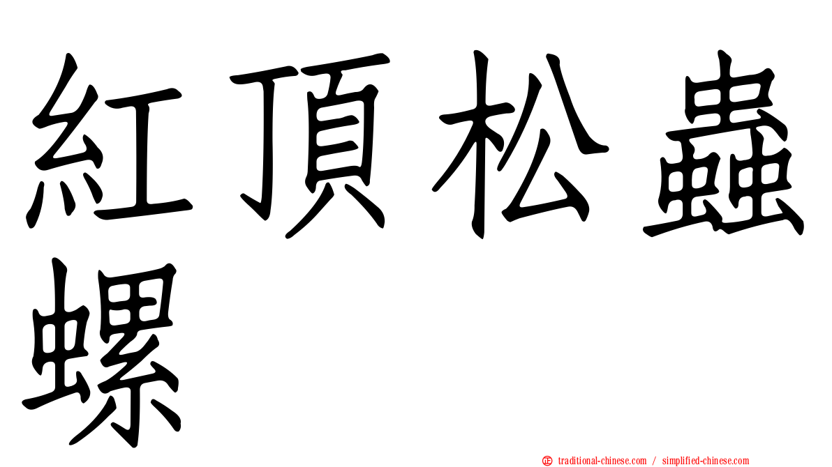 紅頂松蟲螺
