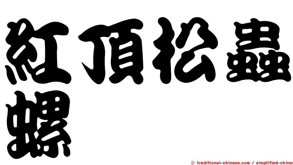 紅頂松蟲螺