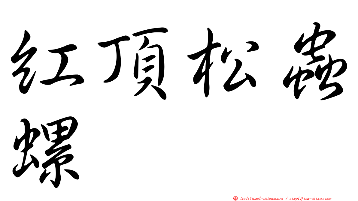 紅頂松蟲螺