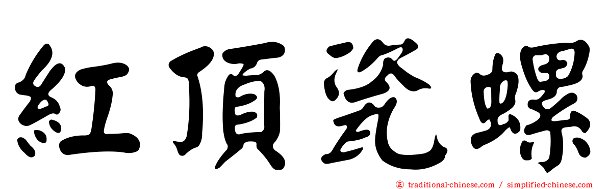 紅頂瓷螺