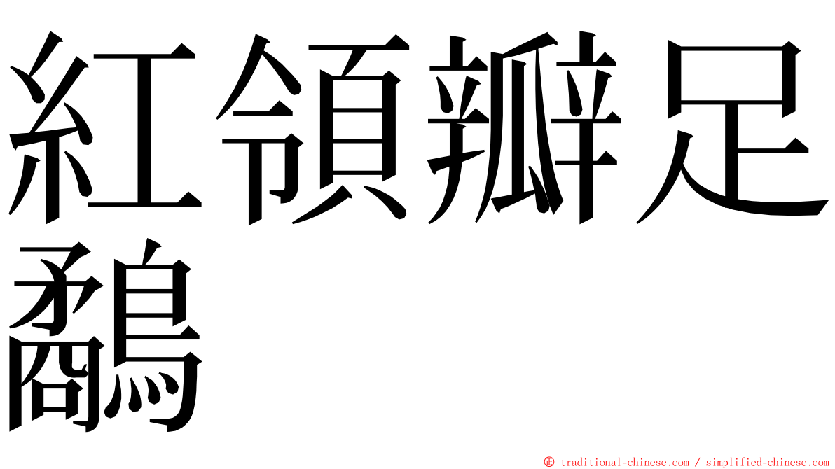 紅領瓣足鷸 ming font