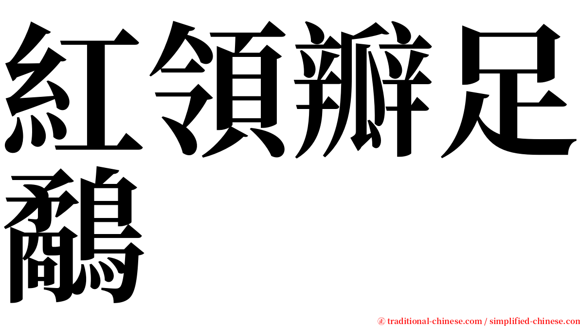 紅領瓣足鷸 serif font