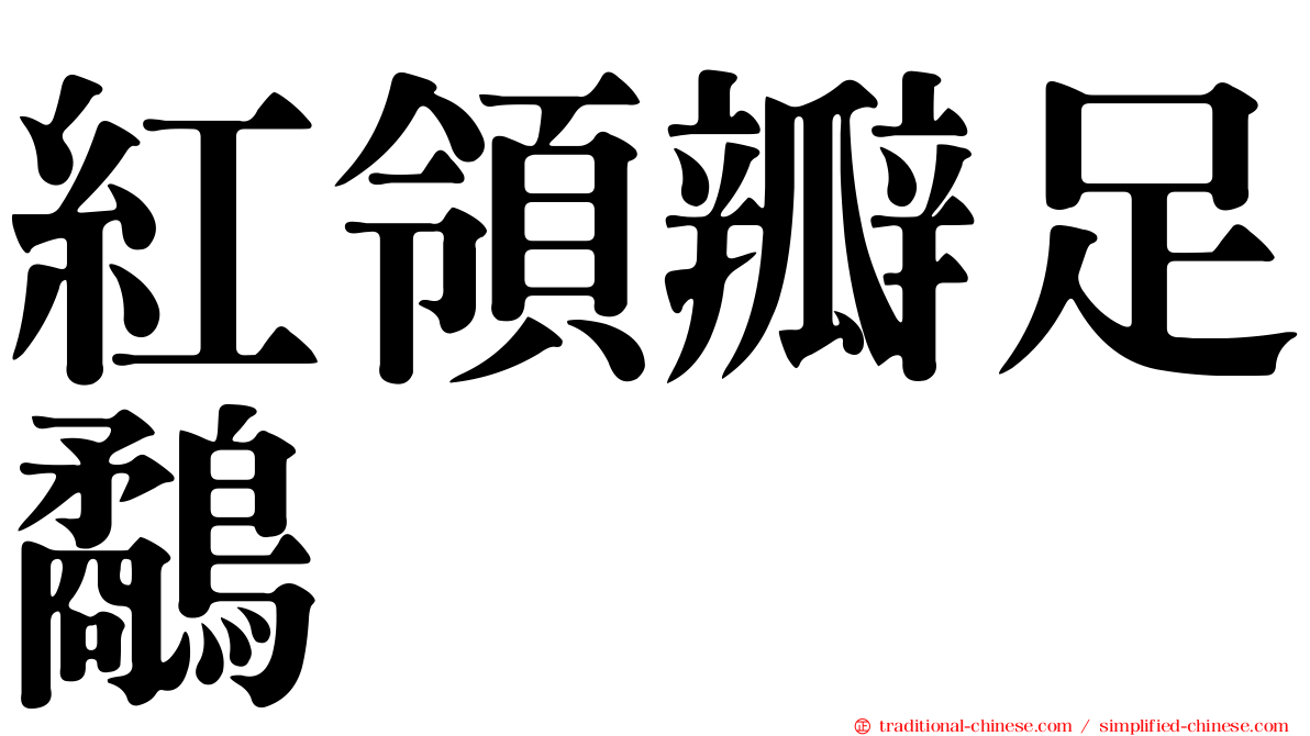 紅領瓣足鷸