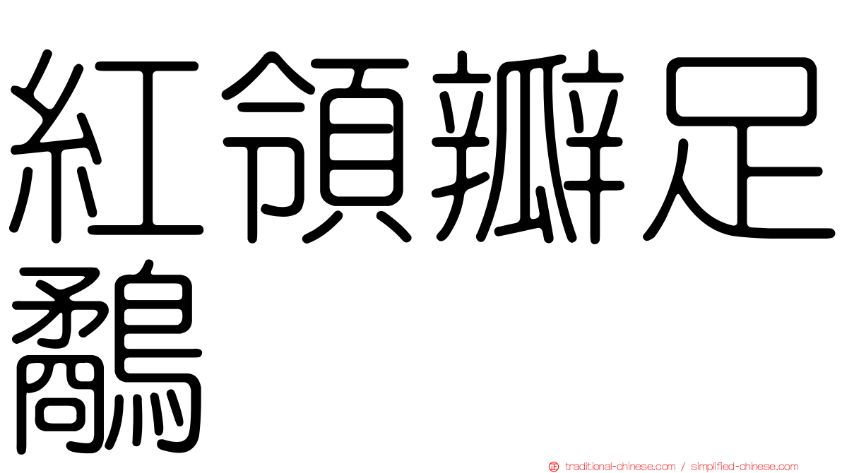 紅領瓣足鷸