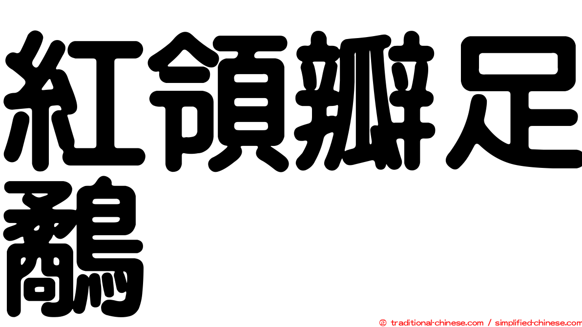 紅領瓣足鷸