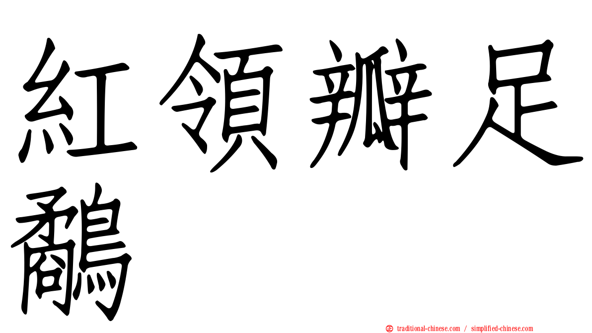紅領瓣足鷸