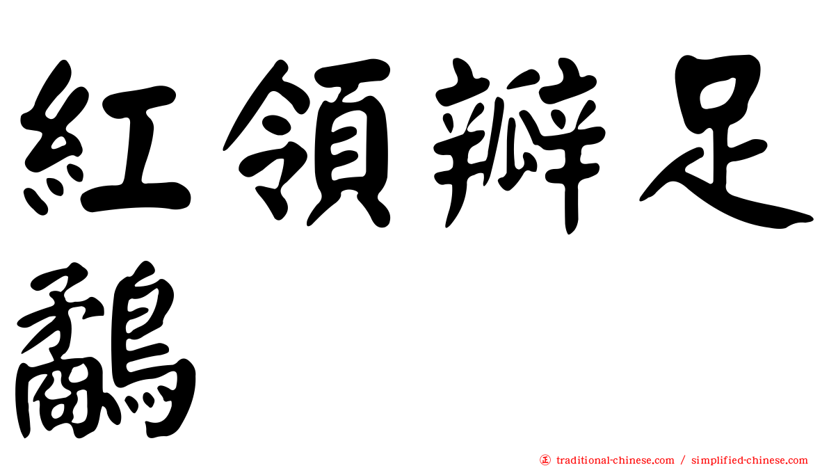 紅領瓣足鷸