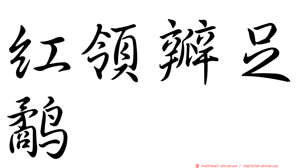 紅領瓣足鷸