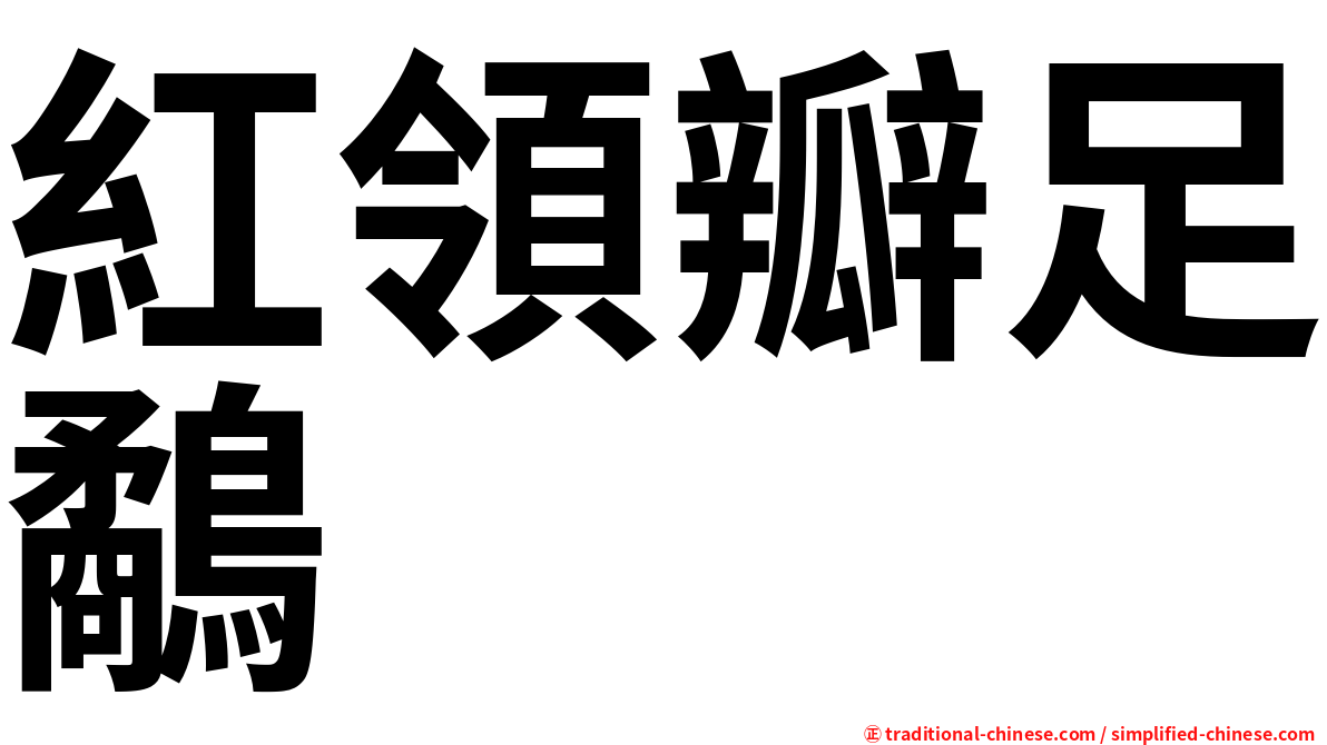 紅領瓣足鷸