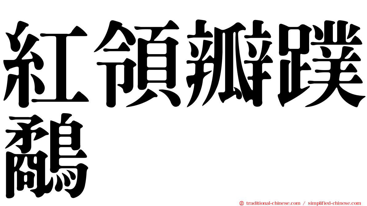 紅領瓣蹼鷸