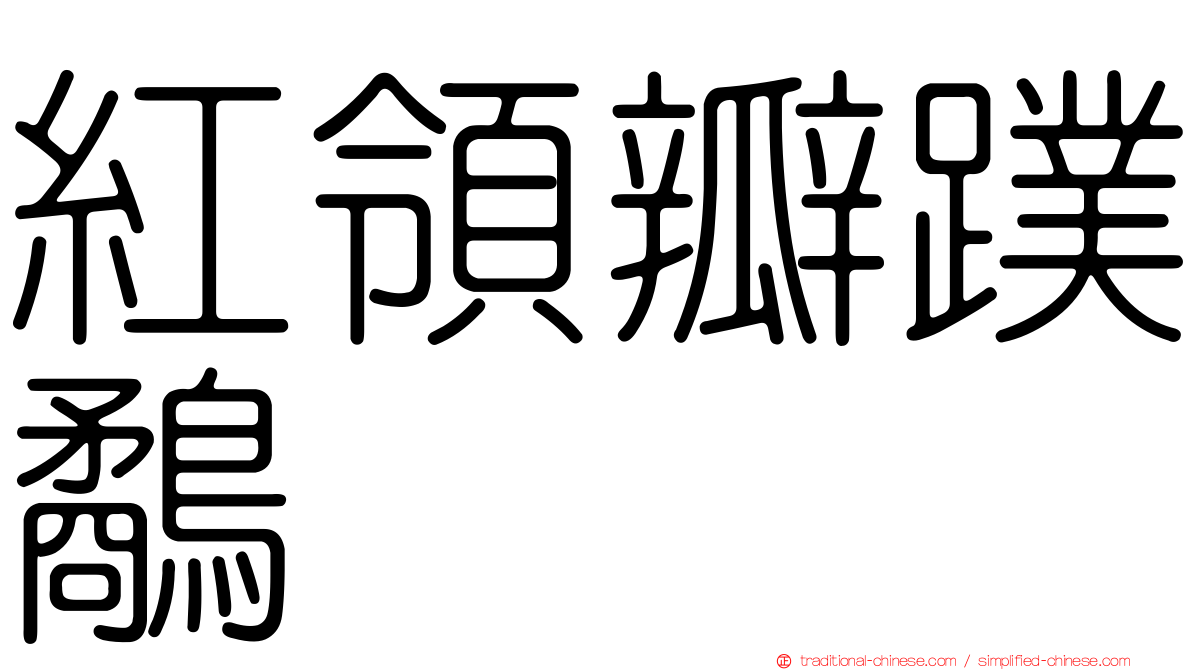紅領瓣蹼鷸