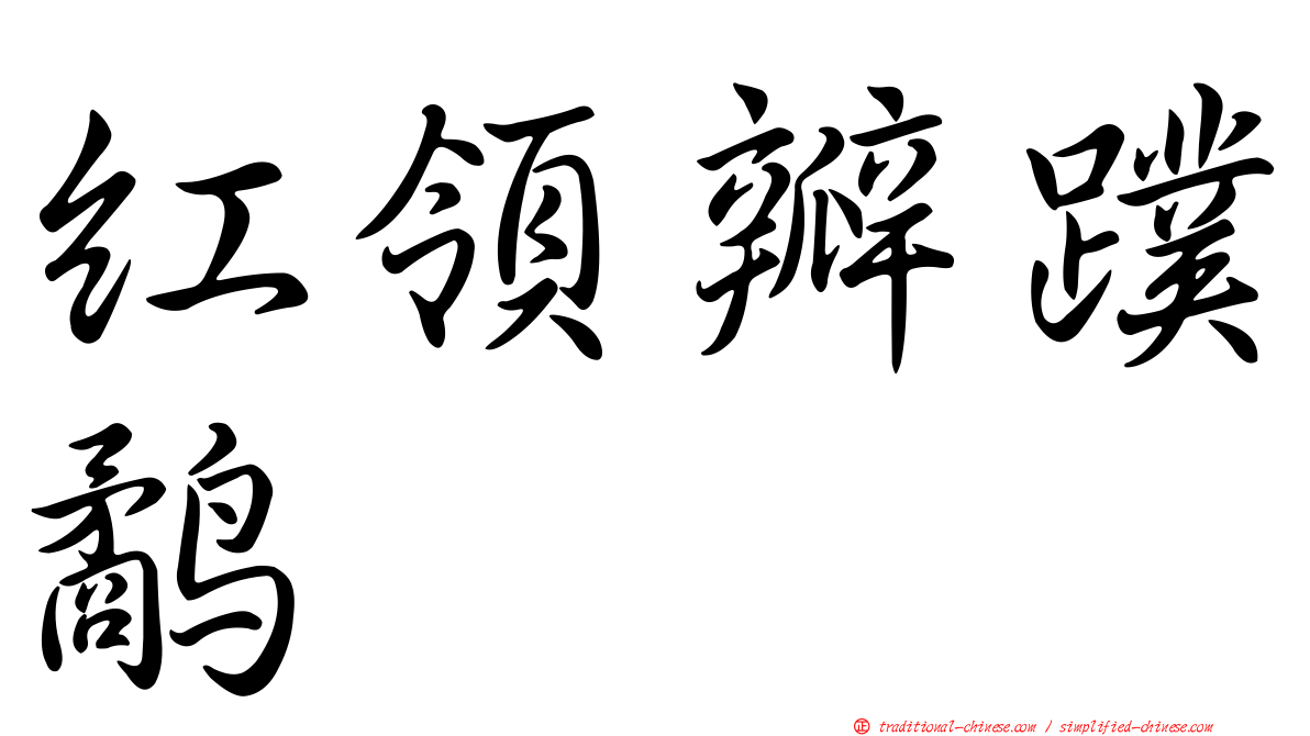 紅領瓣蹼鷸