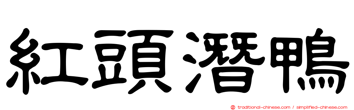紅頭潛鴨