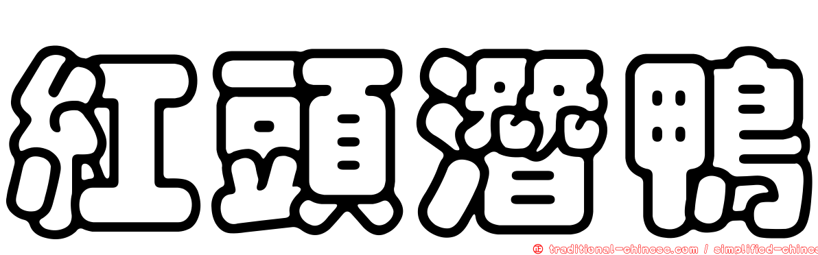 紅頭潛鴨