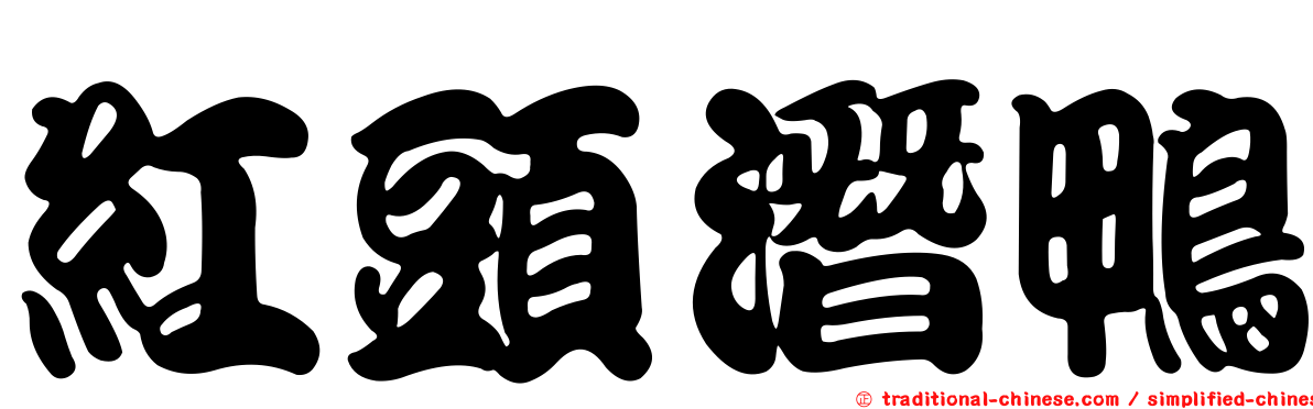 紅頭潛鴨