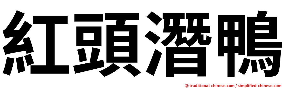 紅頭潛鴨
