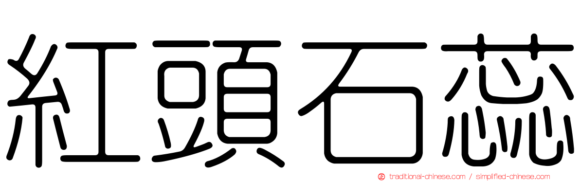 紅頭石蕊