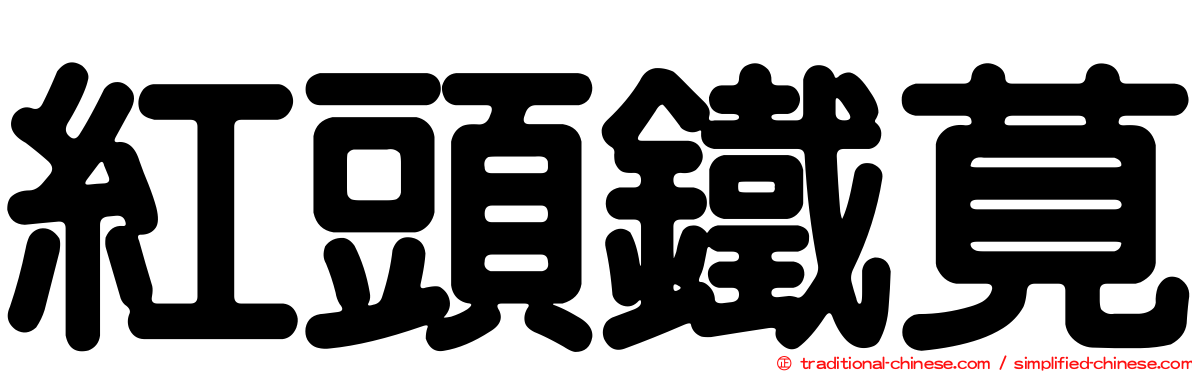 紅頭鐵莧