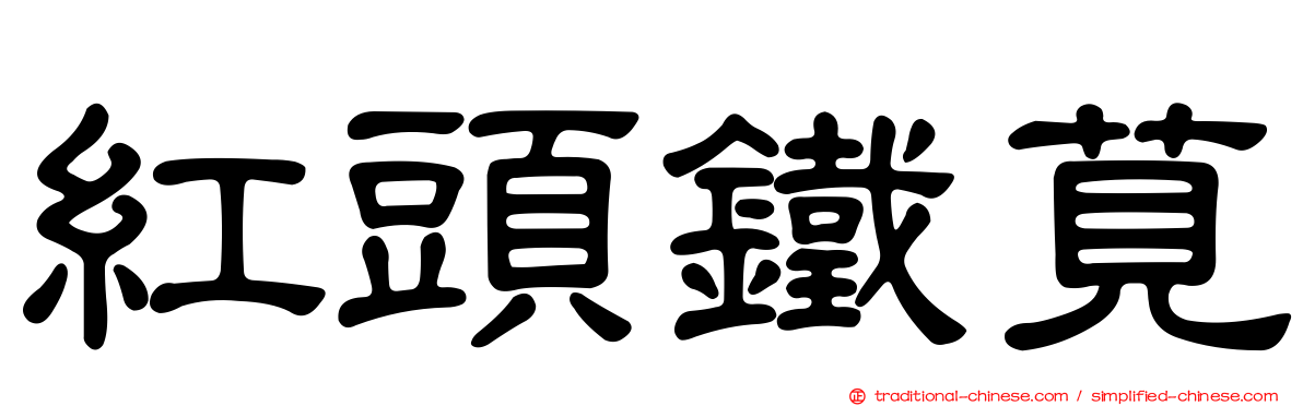 紅頭鐵莧
