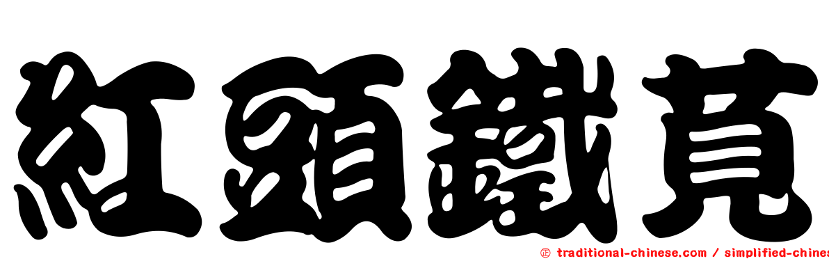 紅頭鐵莧