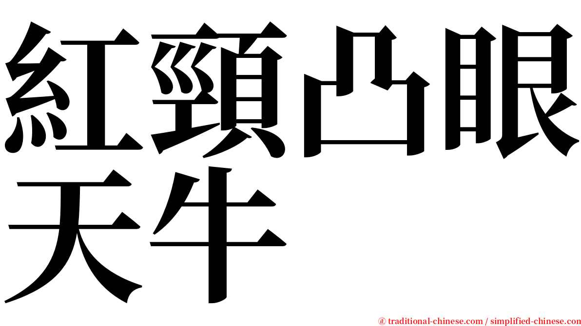 紅頸凸眼天牛 serif font