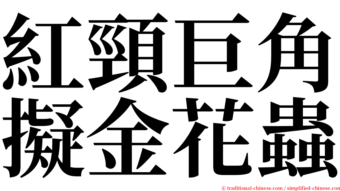 紅頸巨角擬金花蟲 serif font