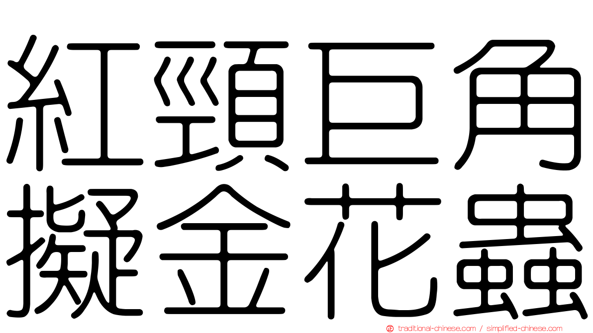 紅頸巨角擬金花蟲