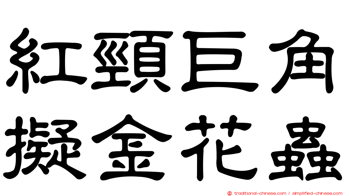 紅頸巨角擬金花蟲