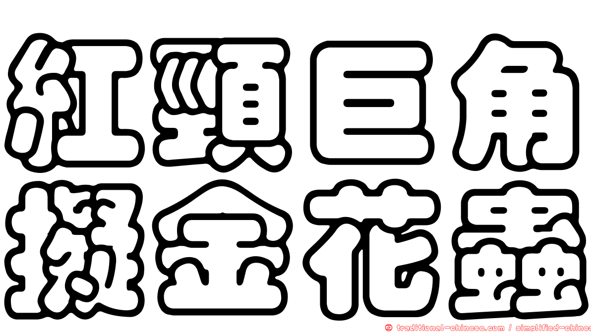 紅頸巨角擬金花蟲
