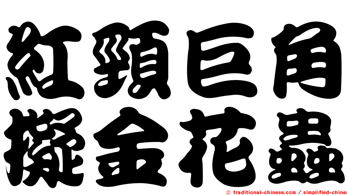 紅頸巨角擬金花蟲