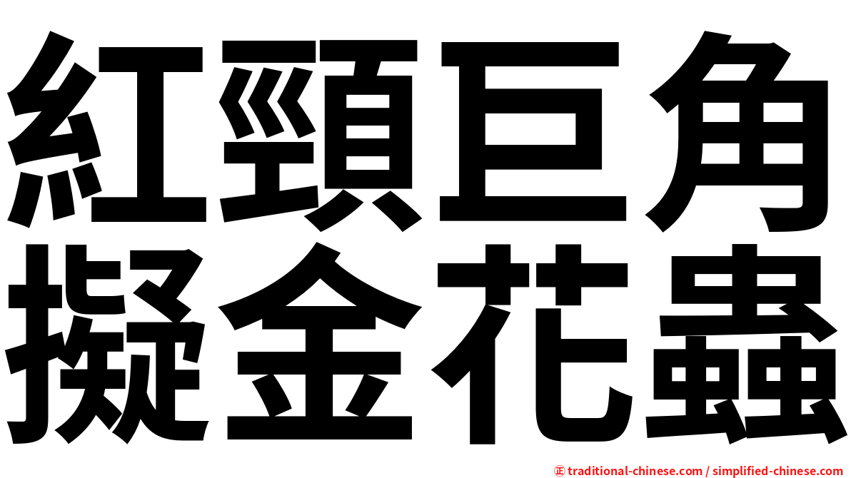 紅頸巨角擬金花蟲