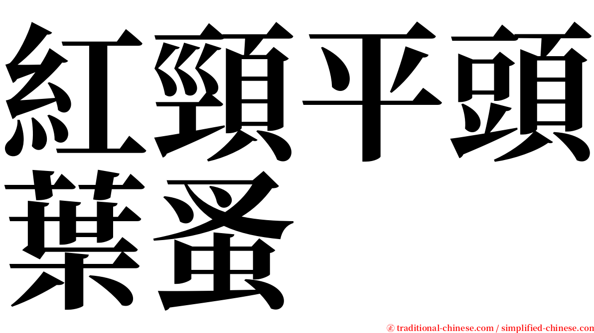 紅頸平頭葉蚤 serif font