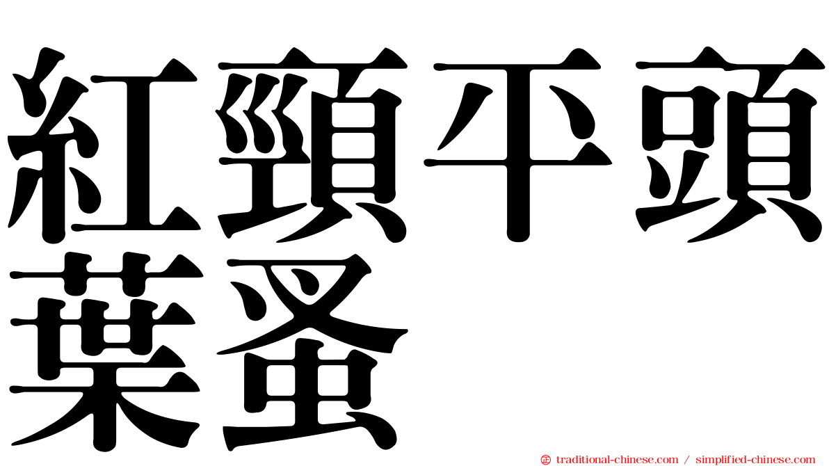 紅頸平頭葉蚤