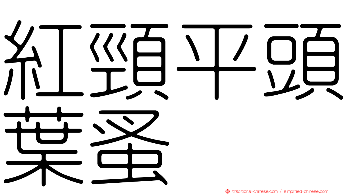 紅頸平頭葉蚤