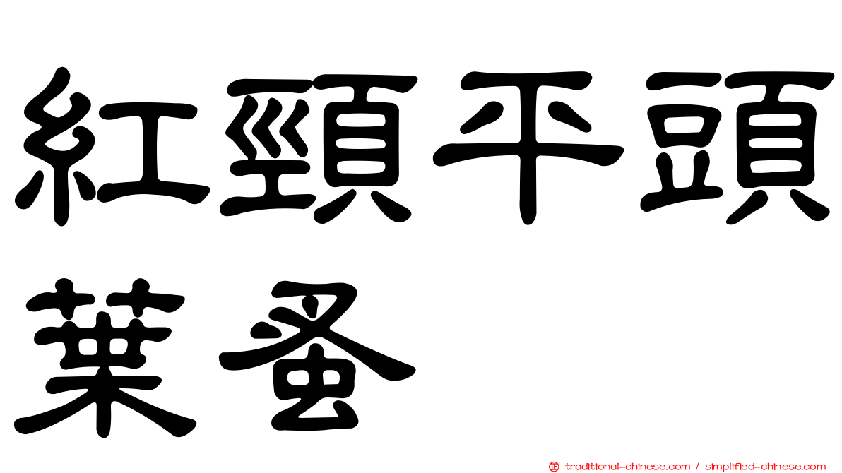 紅頸平頭葉蚤