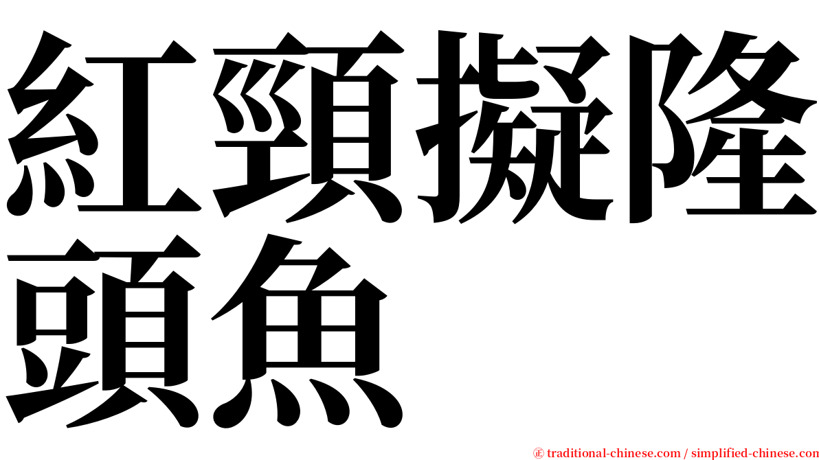 紅頸擬隆頭魚 serif font