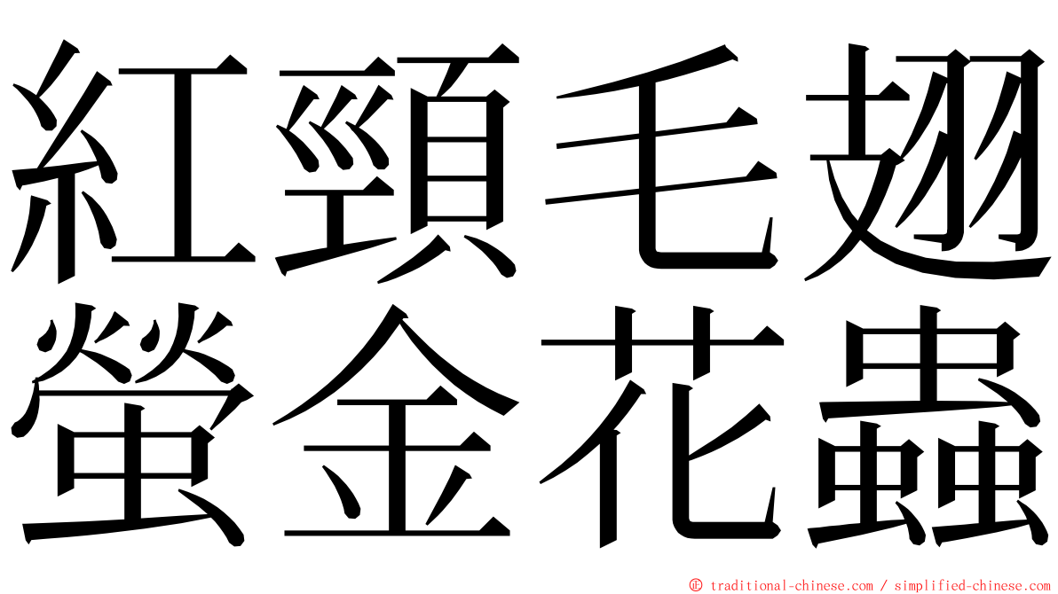 紅頸毛翅螢金花蟲 ming font