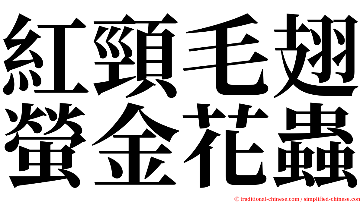 紅頸毛翅螢金花蟲 serif font