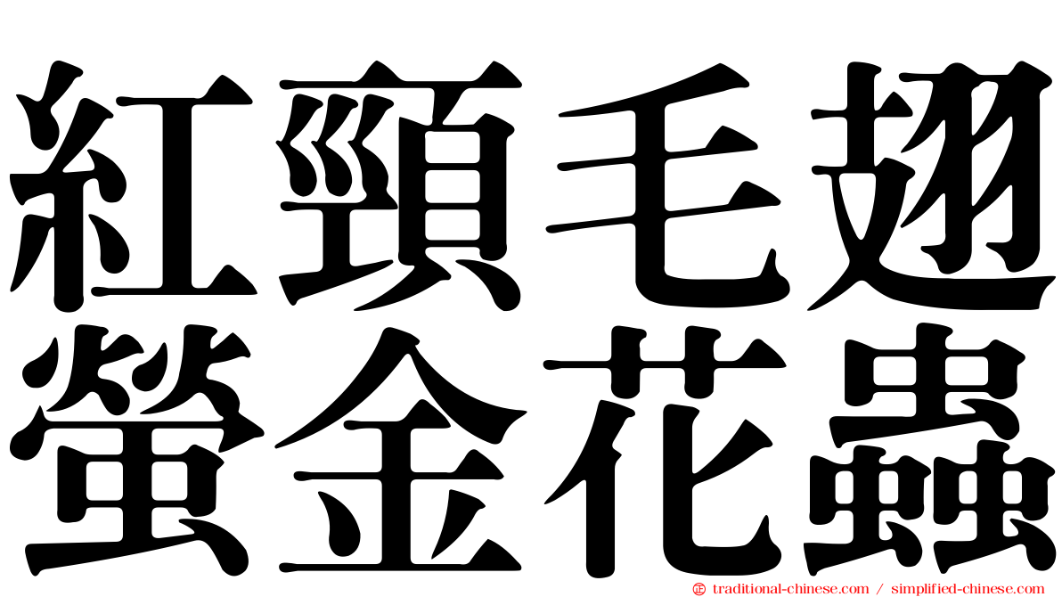 紅頸毛翅螢金花蟲
