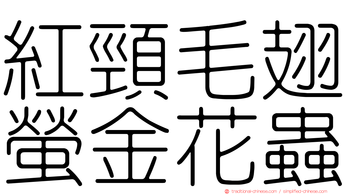 紅頸毛翅螢金花蟲