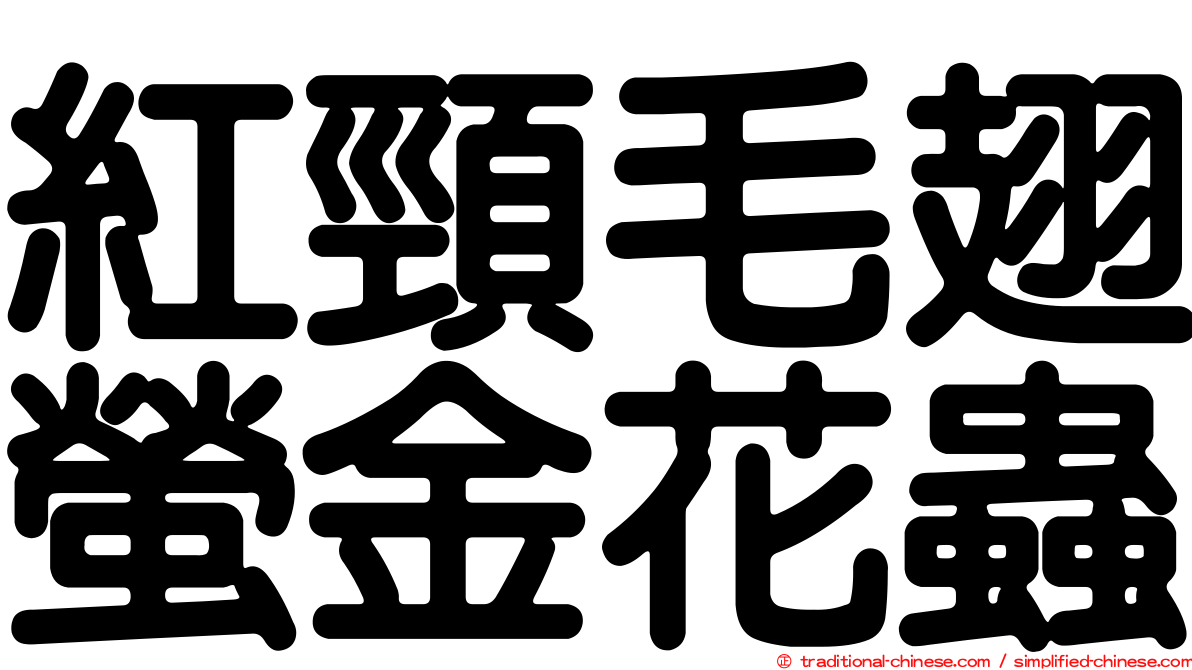 紅頸毛翅螢金花蟲