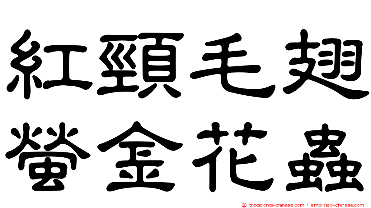 紅頸毛翅螢金花蟲