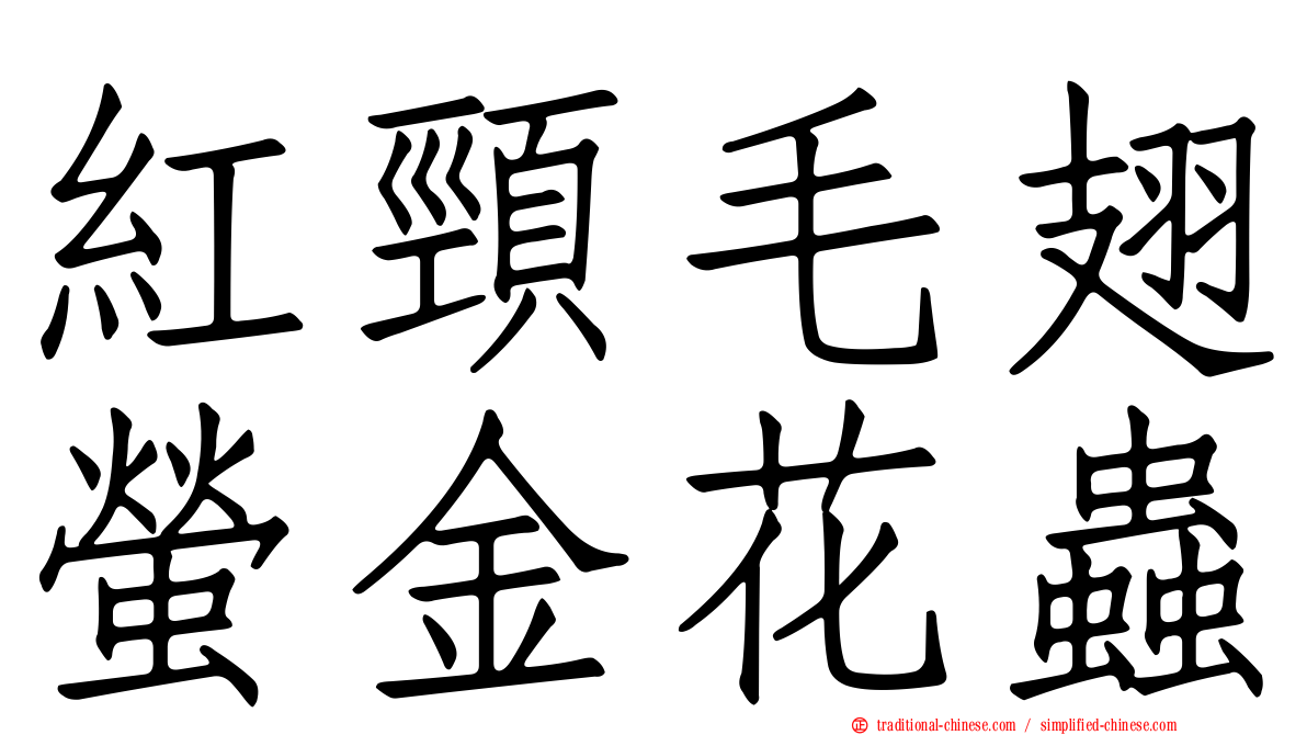 紅頸毛翅螢金花蟲